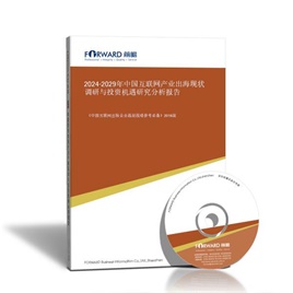 2025-2030年中国互联网出海现状调研与投资机遇研究分析报告