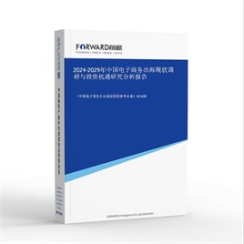 2025-2030年中国电商出海现状调研与投资机遇研究分析报告